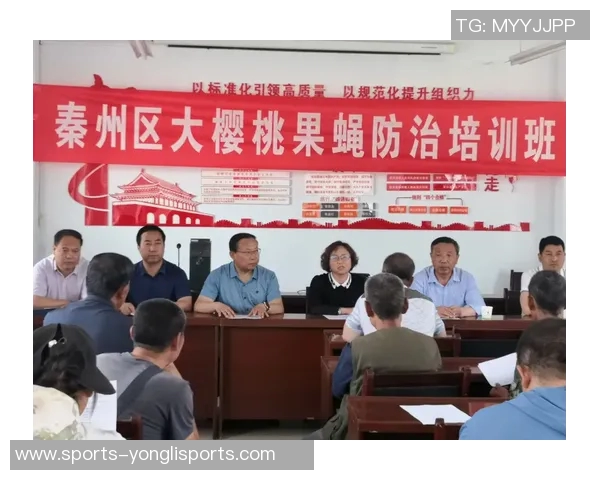 专业足球鞋品牌推荐与选购指南助你提升球场表现